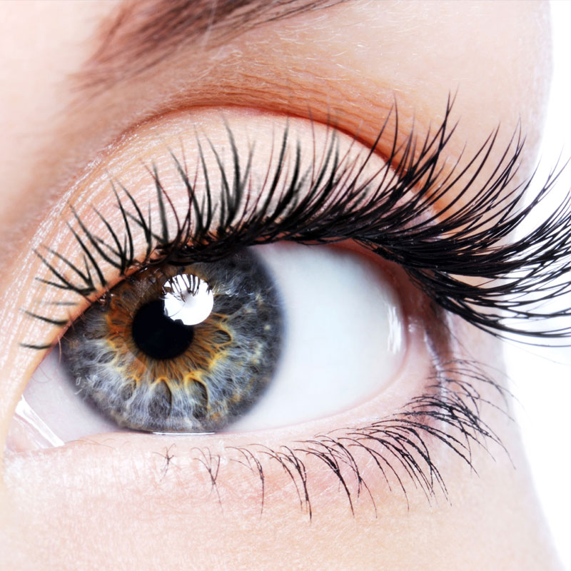 eyes